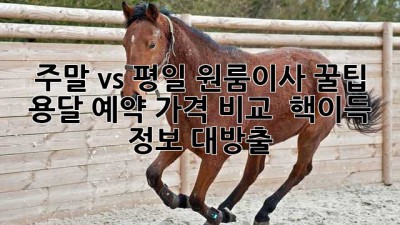 주말 vs 평일 원룸이사 꿀팁🍯 용달 예약 가격 비교 & 핵이득 정보 대방출!